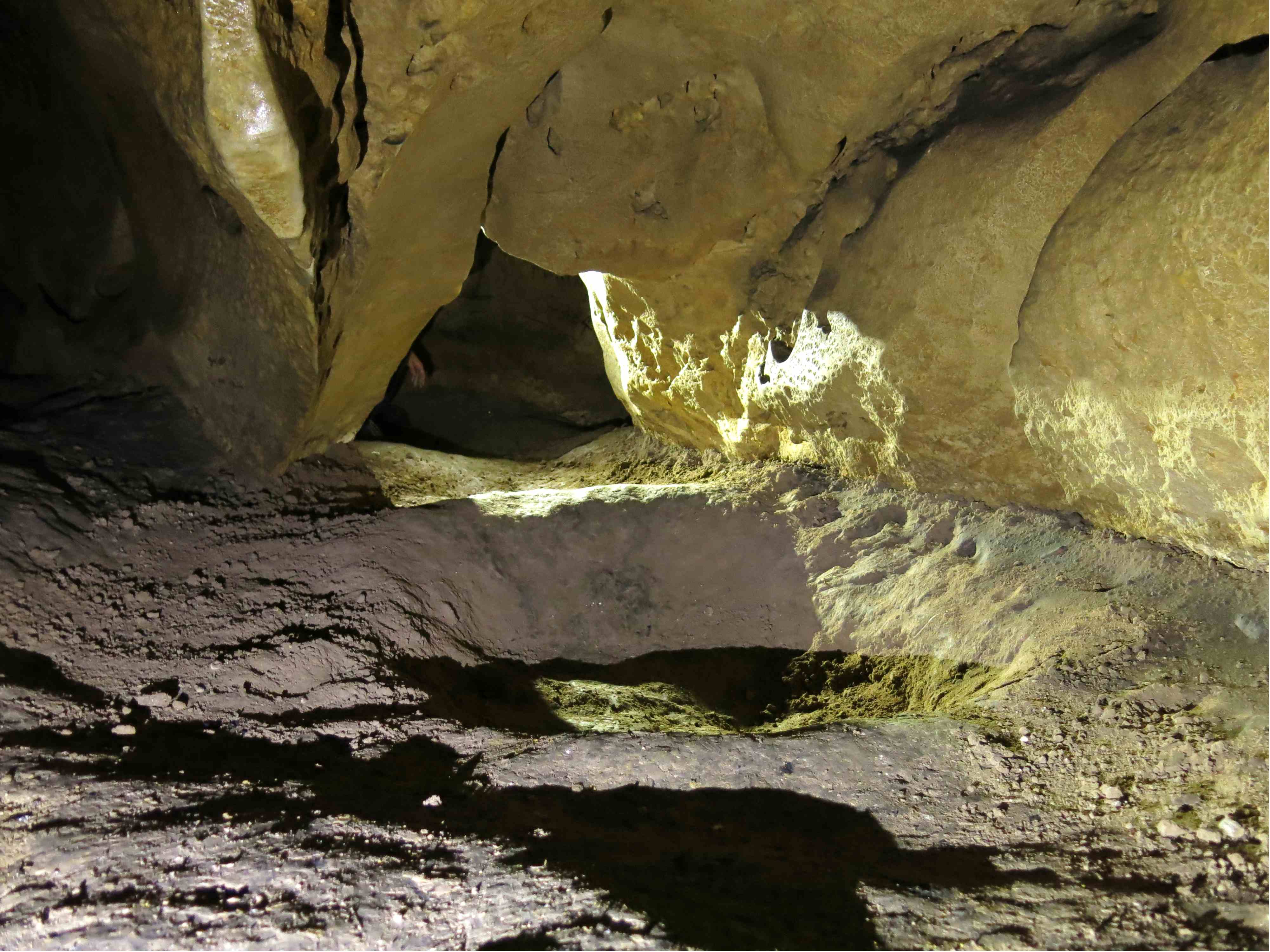 Las oseras de Aitzbitarte.