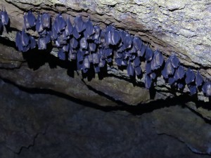 IMG_7812